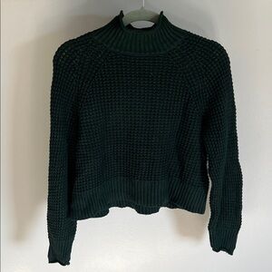 American Eagle Outfitters Forest Green Knit Turtleneck